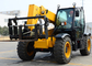 Engineering Construction Telescopic Boom Forklift with Fully Sealed Wet Multi Disc Brakes supplier
